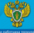 Уважаемые сотрудники и ветераны органов прокуратуры! - Администрация Находкинского городского округа