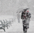 метель - NhkNews.Ru
