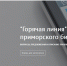 Центр «Мой бизнес» собирает обратную связь от приморских предпринимателей в текущих условиях - Администрация Находкинского городского округа