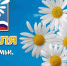 С Днем семьи, любви и верности! - Дума городского округа