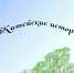 Житейские истории Натальи Садаевой - ЦБС Находкинского городского округа