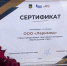 Суперфинал конкурса «Приморский старт» выявил 10 победителей – грантополучателей - Администрация Находкинского городского округа