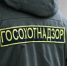 Во Врангель прибыли специалисты для отлова тигра - Администрация Находкинского городского округа