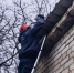 В Находке спасли кота-электрика - Администрация Находкинского городского округа