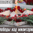 Поздравление главы Находкинского городского округа Т.В. Магинского с Днём Победы над милитаристской Японией и окончания Второй мировой войны - Администрация Находкинского городского округа