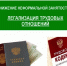 Нелегальная занятость: почему важно работать официально? - Администрация Находкинского городского округа