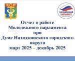 Отчет о деятельности Молодёжного парламента за 2025 год