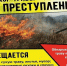 Поджигателям сухой травы грозит штраф до 400 тысяч рублей - Администрация Находкинского городского округа