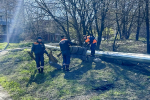 В субботнике в Находке приняли участие депутаты Законодательного собрания Приморского края