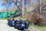 В субботнике в Находке приняли участие депутаты Законодательного собрания Приморского края
