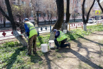 В субботнике в Находке приняли участие депутаты Законодательного собрания Приморского края